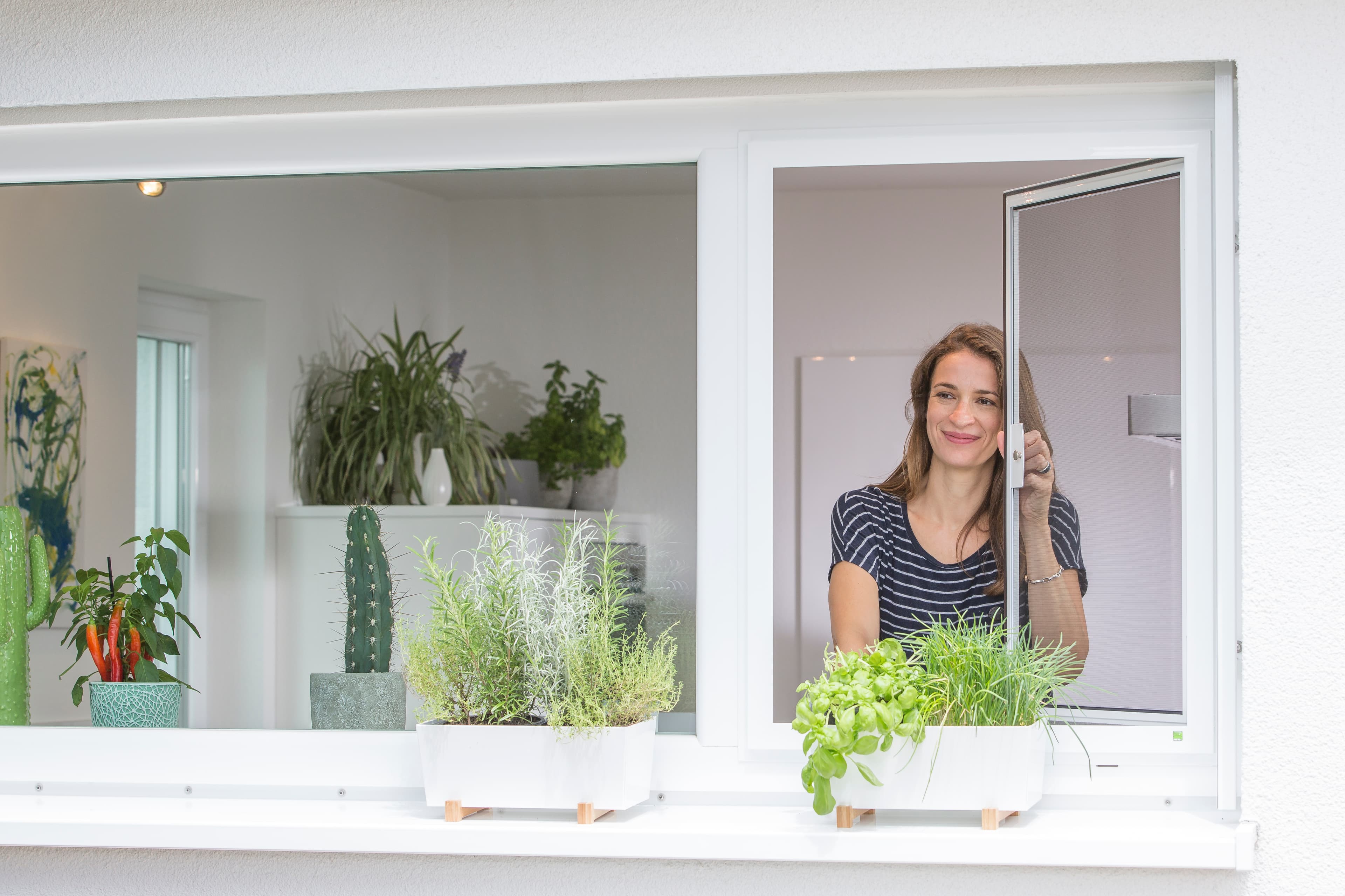 Headerbild mit einer Frau die aus dem Fenster schaut und ein Fenster-Insektenschutz öffnet