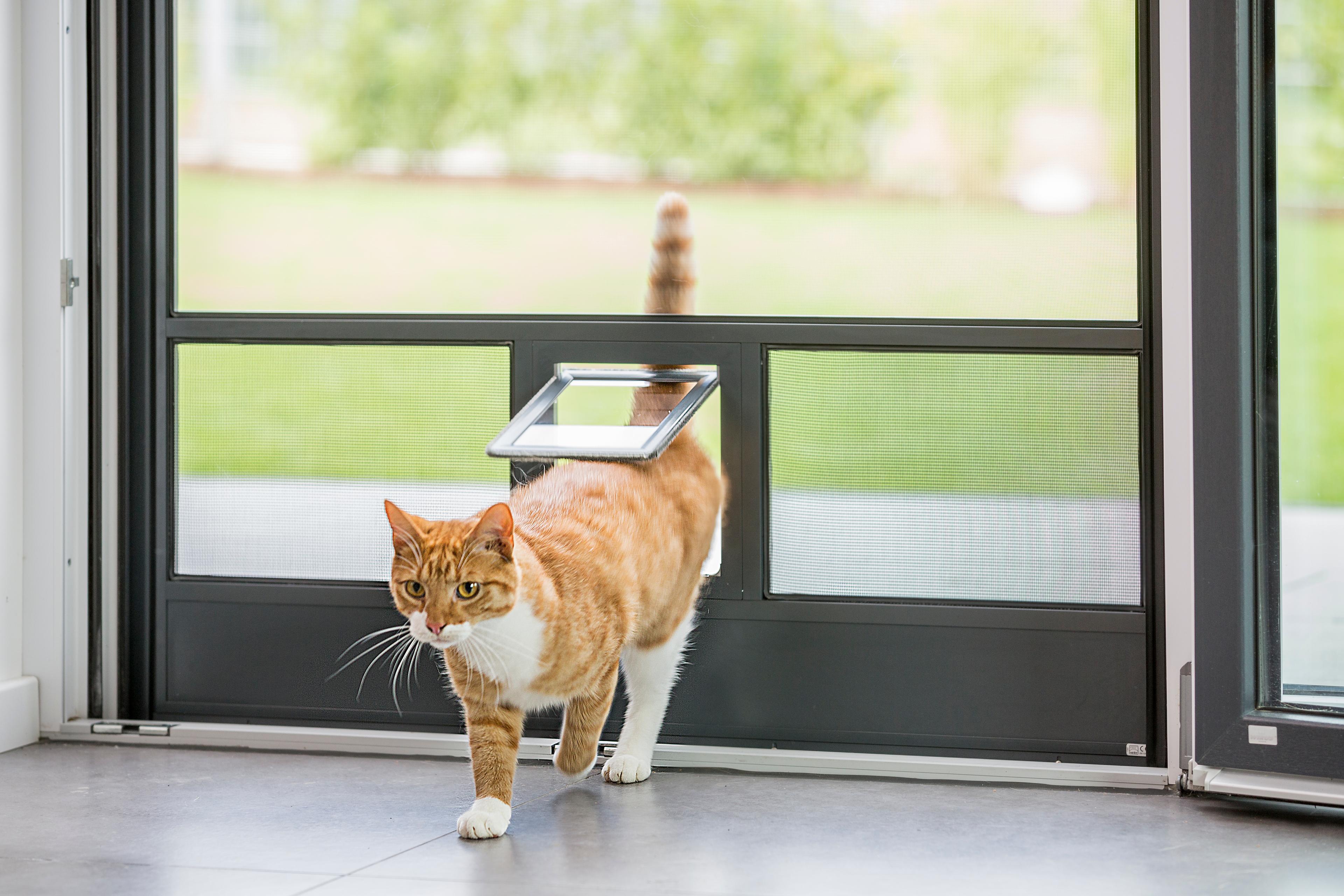 Neher Insektenschutz mit eingebauter Katzenklappe